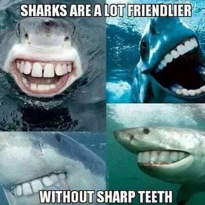 Sharks Without Sharp Teeth